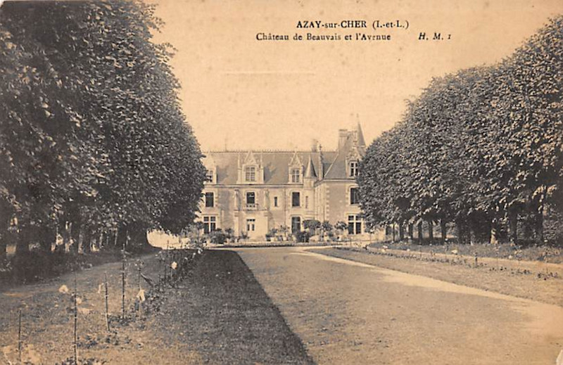 L'avenue de tilleuls du château de Beauvais