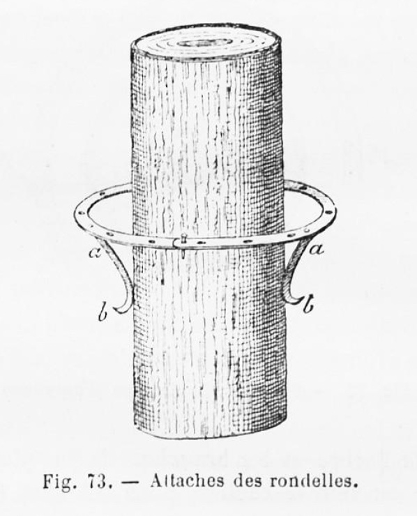 Habillage des troncs d'arbres : attaches des rondelles