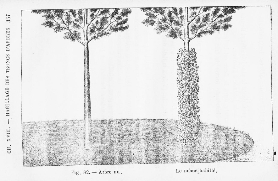Habillage des troncs d'arbres : arbre nu et arbre habillé