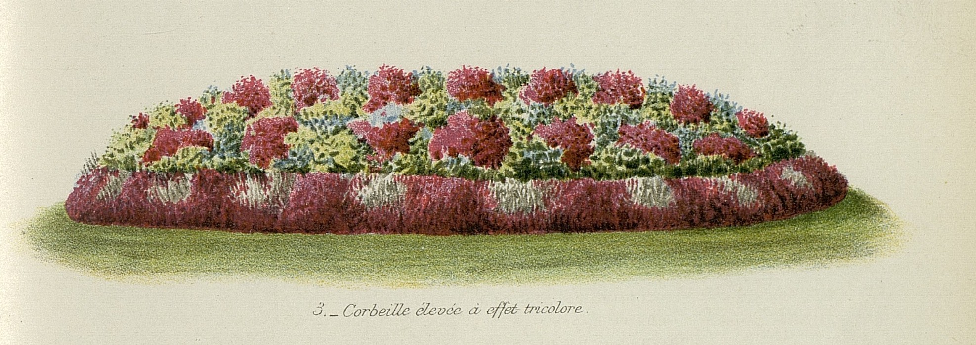 Corbeille élevée à effet tricolore, La Revue Horticole, 1905