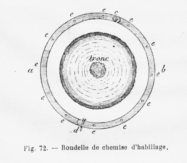 Habillage des troncs d'arbre : rondelle de chemise d'habillage