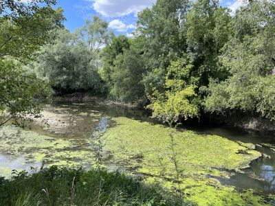 À la recherche des jardins perdus : rives de Cisse à Vouvray
