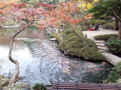 Jardins de Loire : Ancien jardin seigneurial de Tôkyô