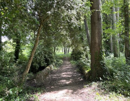 Jardins de Loire : à la recherche des jardins perdus®