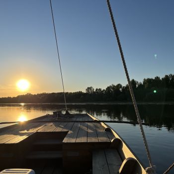 Gardens of the Loire Valley: cruise on the Loire river