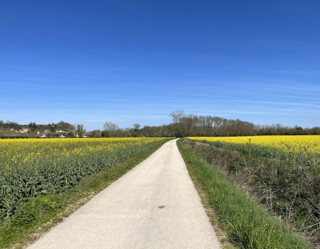 Jardins de Loire : promenades commentées à vélo