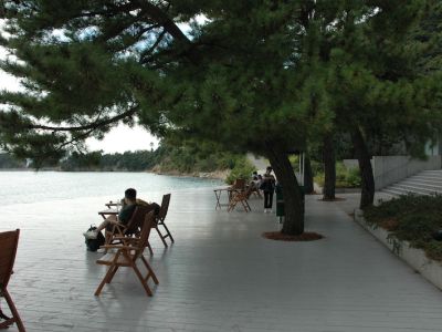 Jardins de Loire : Terrasse sur la Mer Intérieure du Japon
