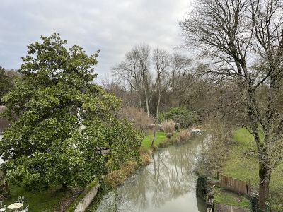 Jardins de Loire : Moulin de Moque-Souris