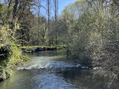 Jardins de Loire : promenade commentée à vélo "Au fil de la Brenne"